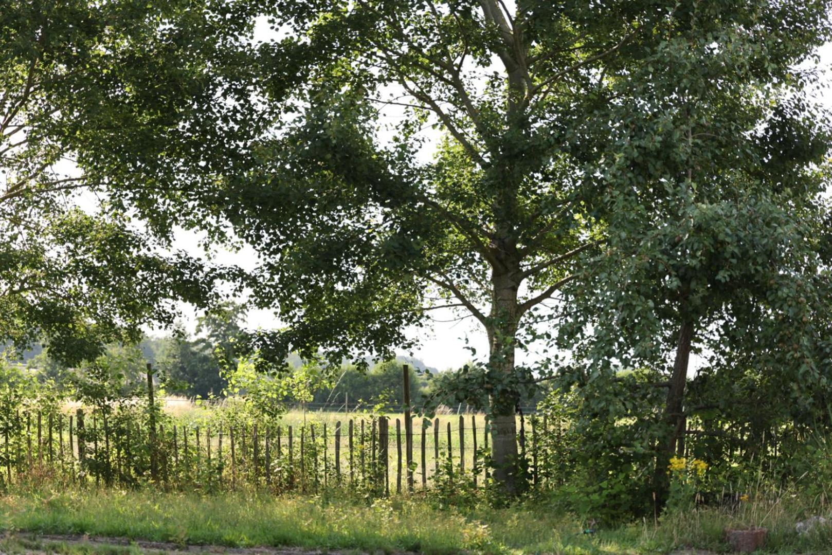 Bed met Paard Appartement Bergen op Zoom Buitenkant foto